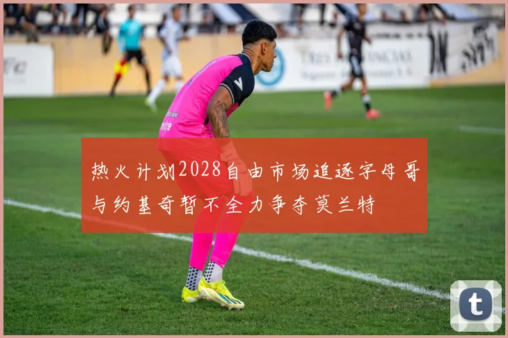 热火计划2028自由市场追逐字母哥与约基奇暂不全力争夺莫兰特